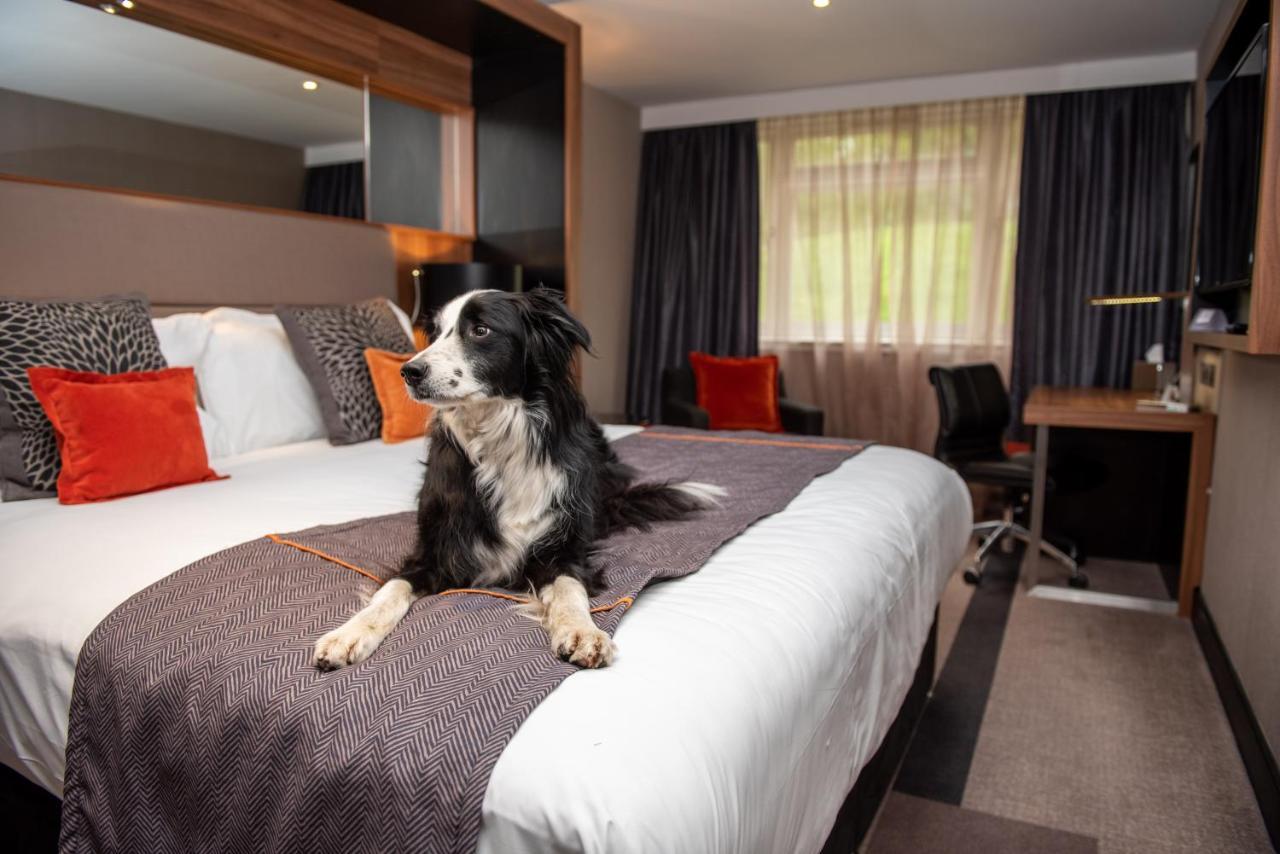 Hotel Crowne Plaza Gerrards Cross By Ihg Beaconsfield Exteriér fotografie