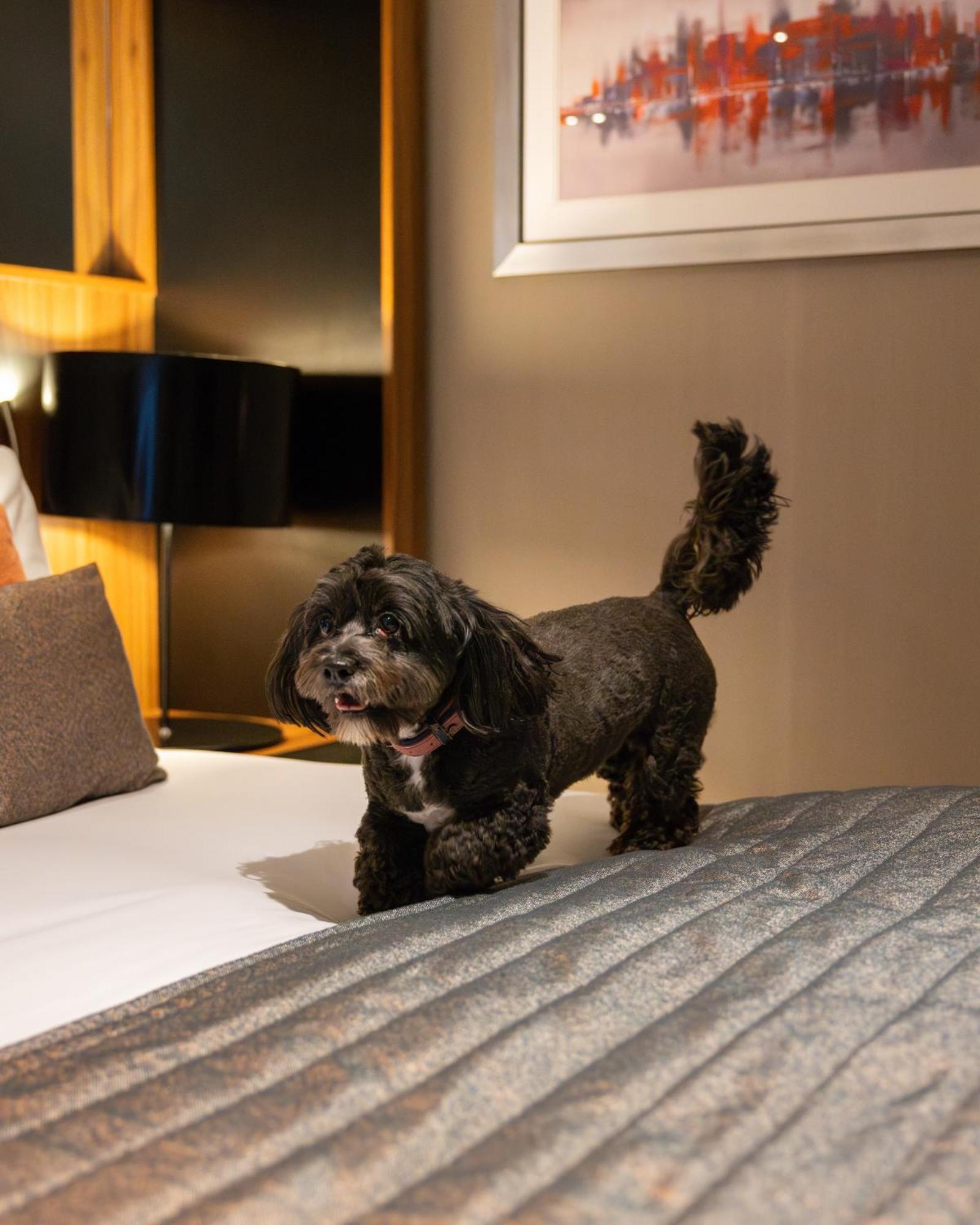 Hotel Crowne Plaza Gerrards Cross By Ihg Beaconsfield Exteriér fotografie